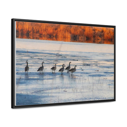 Arts by Dylan: Klamath Basin Birds on Frozen Pond Canvas