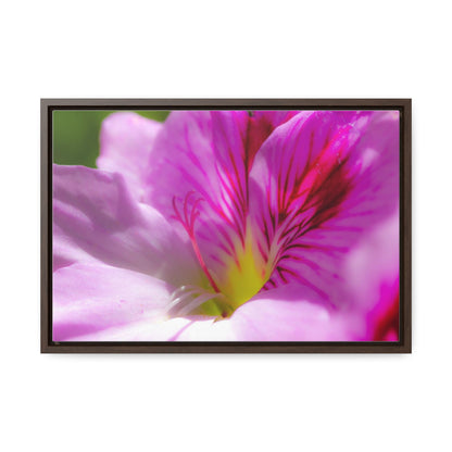 Arts by Dylan: Flower Macro Canvas