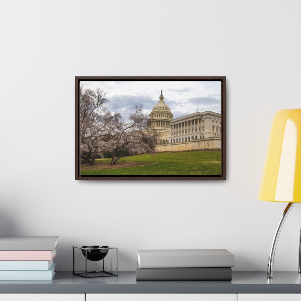 Arts by Dylan: US Capitol Canvas