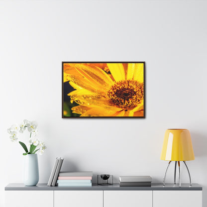 Arts by Dylan: Wet Daisy II Canvas