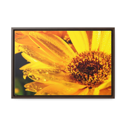 Arts by Dylan: Wet Daisy II Canvas