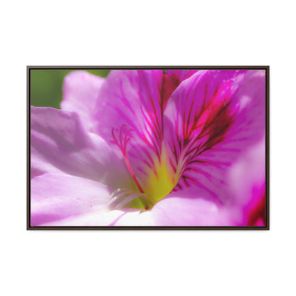 Arts by Dylan: Flower Macro Canvas