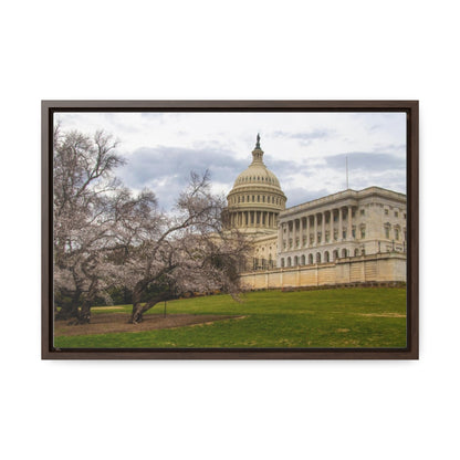 Arts by Dylan: US Capitol Canvas