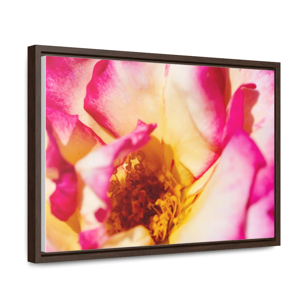 Arts by Dylan: Macro Rose Canvas