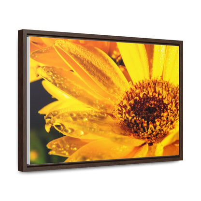 Arts by Dylan: Wet Daisy II Canvas