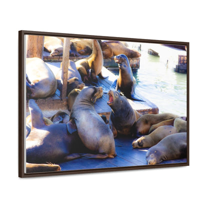 Arts by Dylan: SF Seals Canvas