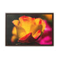 Arts by Dylan: Red/Yellow Rose Canvas