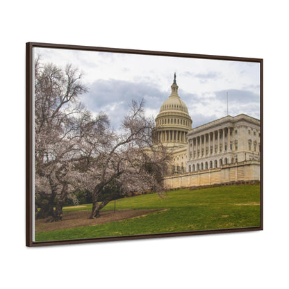 Arts by Dylan: US Capitol Canvas