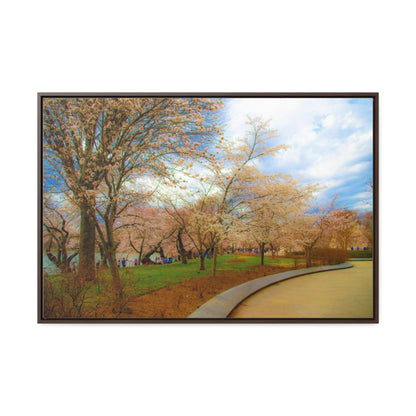 Arts by Dylan: Cherry Blossom Canvas