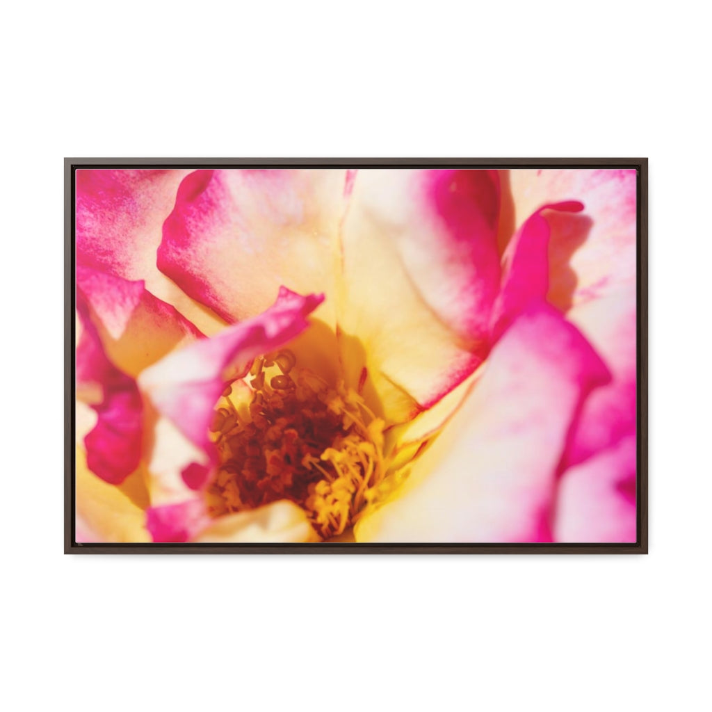 Arts by Dylan: Macro Rose Canvas