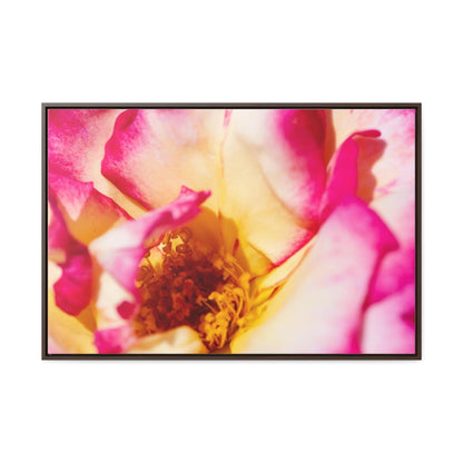 Arts by Dylan: Macro Rose Canvas