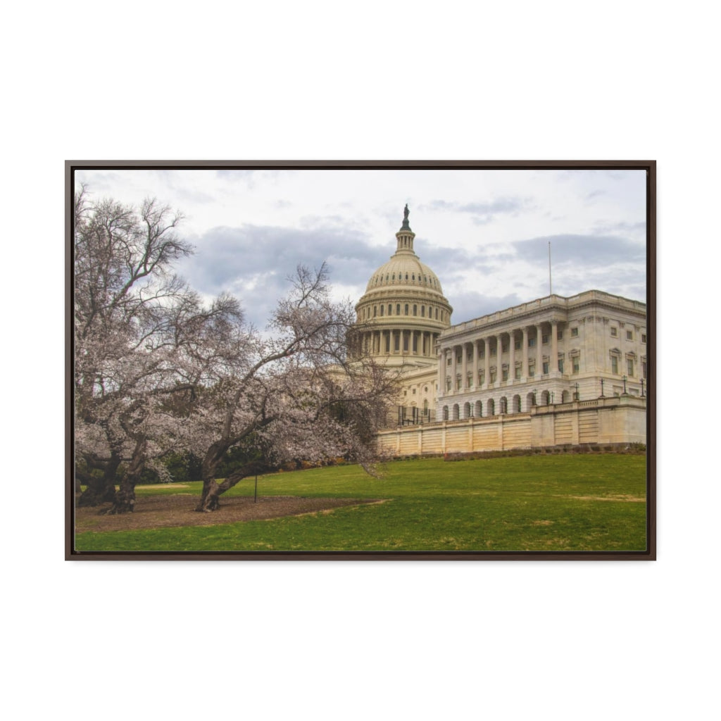 Arts by Dylan: US Capitol Canvas