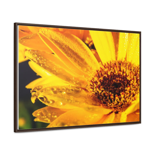 Arts by Dylan: Wet Daisy II Canvas