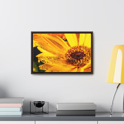 Arts by Dylan: Wet Daisy II Canvas