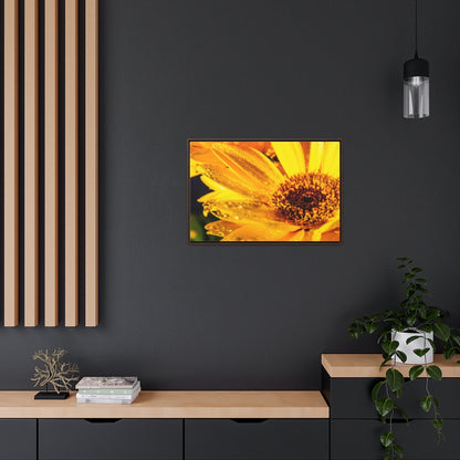 Arts by Dylan: Wet Daisy II Canvas