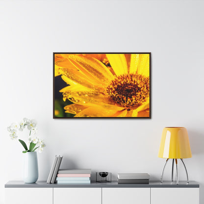 Arts by Dylan: Wet Daisy II Canvas