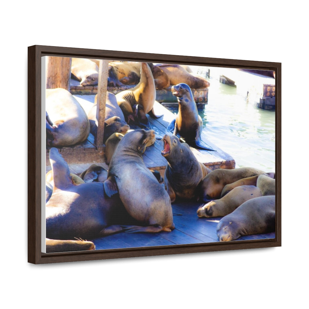 Arts by Dylan: SF Seals Canvas