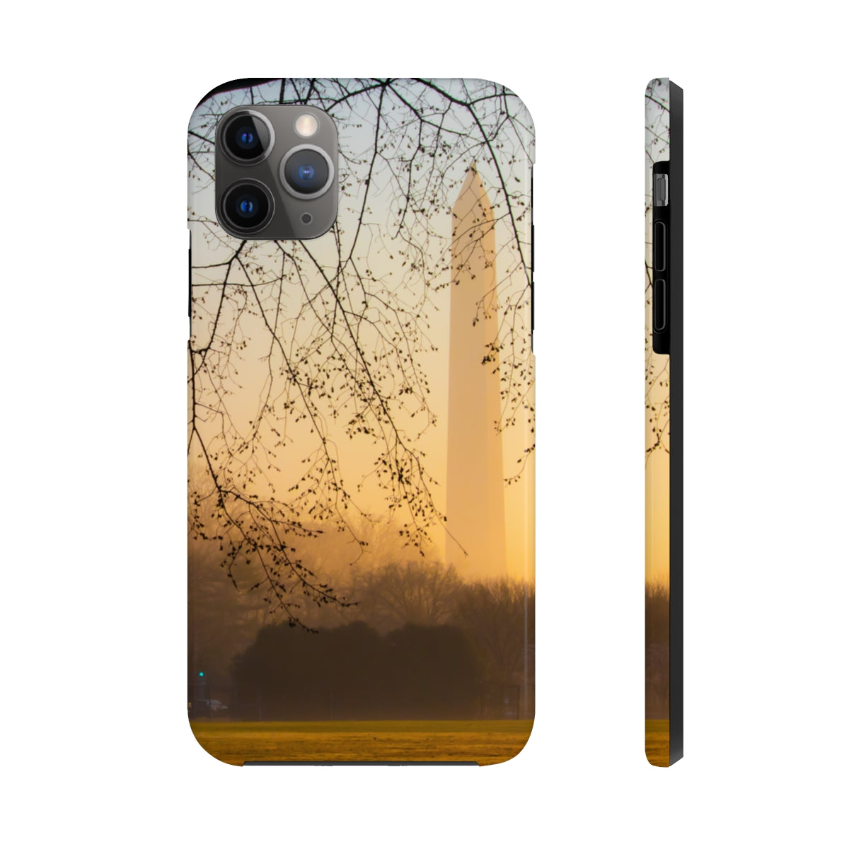 Washington Monument Phone Cases