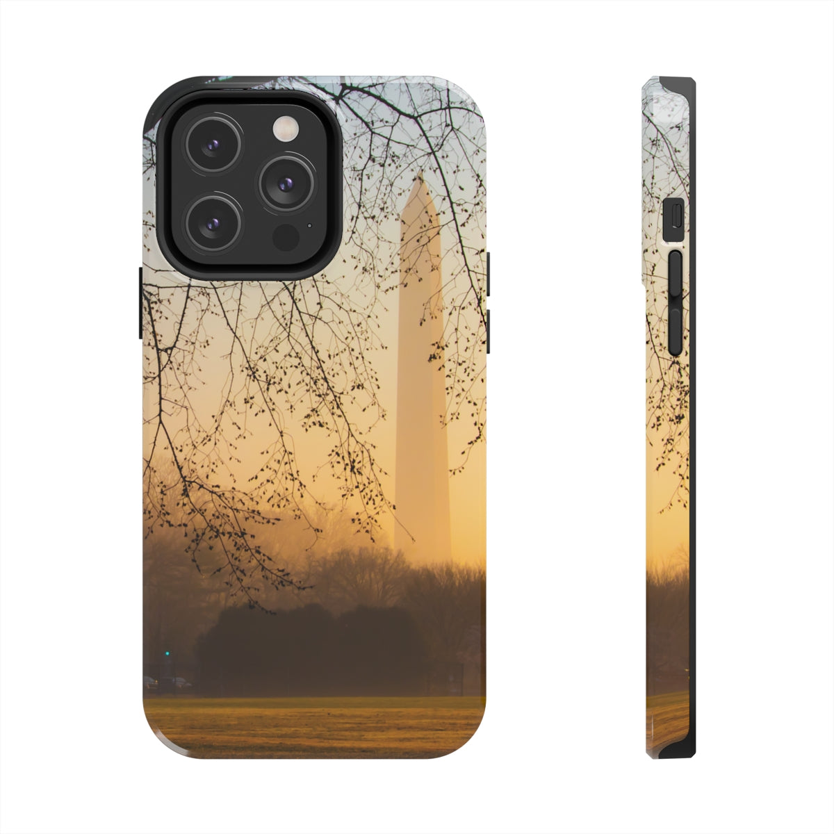 Washington Monument Phone Cases