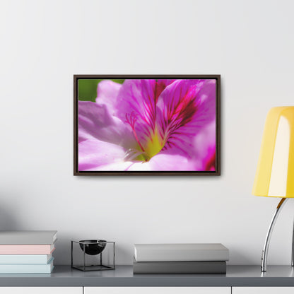 Arts by Dylan: Flower Macro Canvas