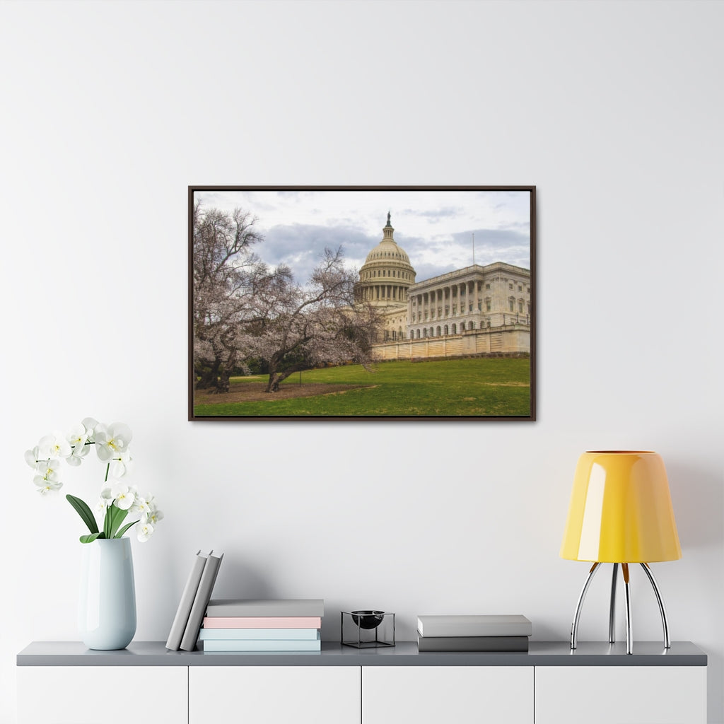 Arts by Dylan: US Capitol Canvas