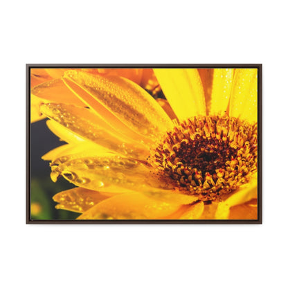 Arts by Dylan: Wet Daisy II Canvas