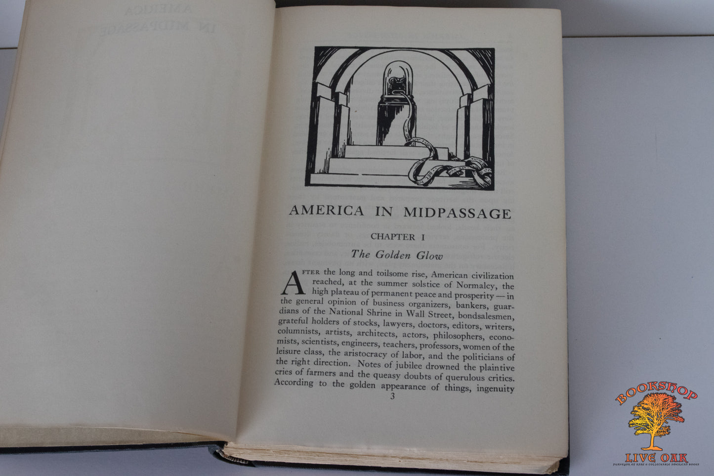 America in MidPassage Volume III The Rise of American Civilization Henry Altemus Company Philadelphia