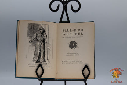 Blue-Bird Weather; Robert W. Chambers With Illustrations by Charles Dana Gibson