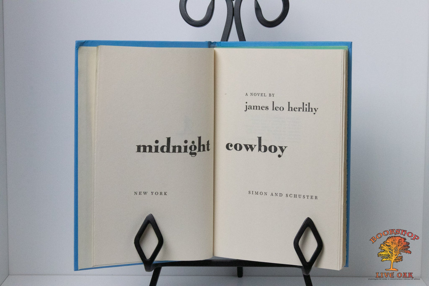 Midnight Cowboy; James Leo Herlihy