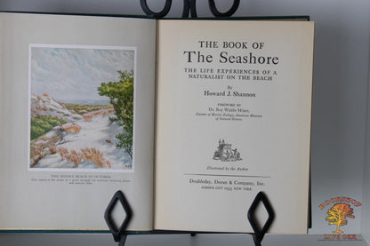 The Book of the Seashore The Life Experiences of a naturalist on the beach Howard J. Shannon Illustrated by the Author