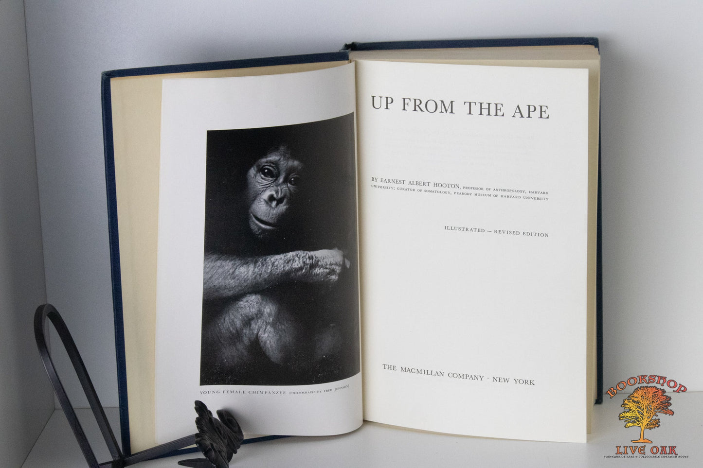 Up from the Ape Earnest Albert Hooton Ph.D.