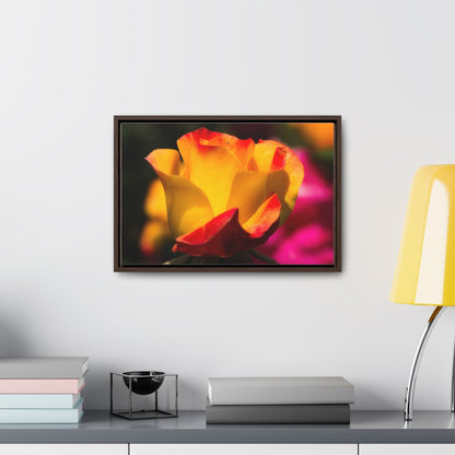 Arts by Dylan: Red/Yellow Rose Canvas