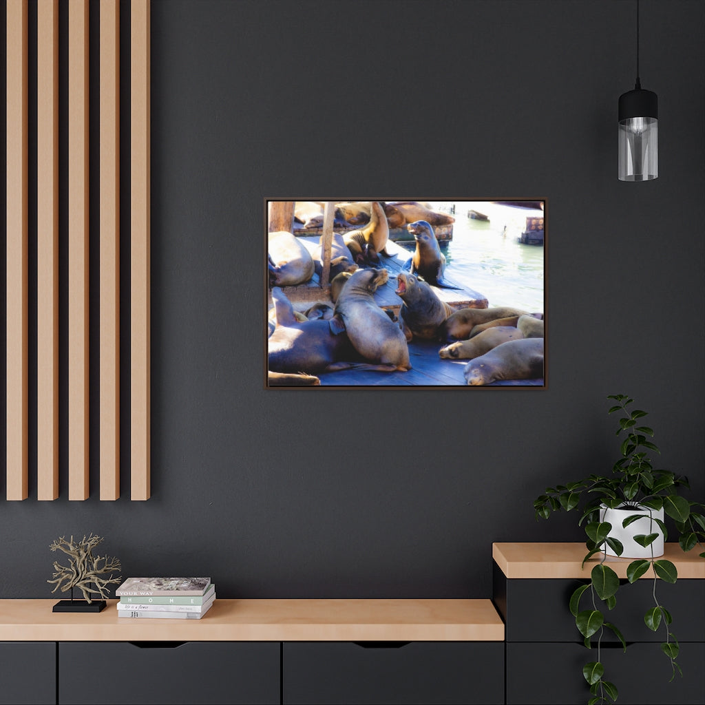 Arts by Dylan: SF Seals Canvas