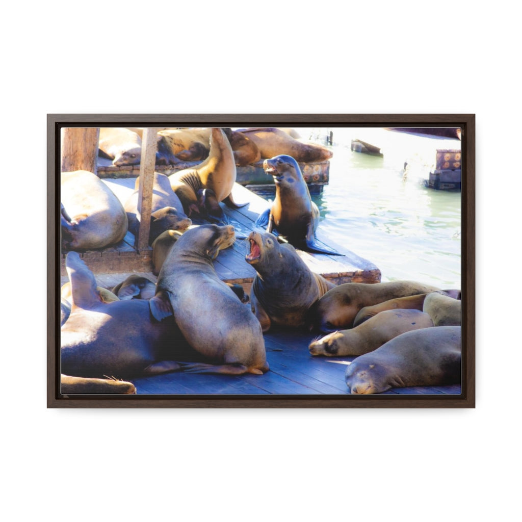 Arts by Dylan: SF Seals Canvas