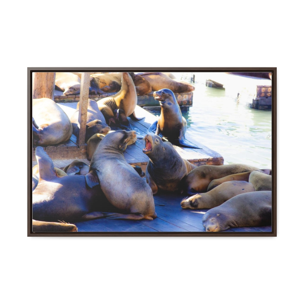 Arts by Dylan: SF Seals Canvas