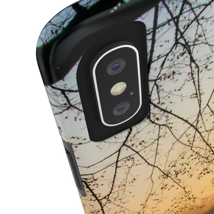 Washington Monument Phone Cases