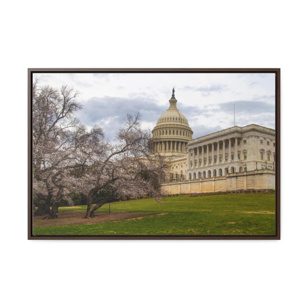 Arts by Dylan: US Capitol Canvas