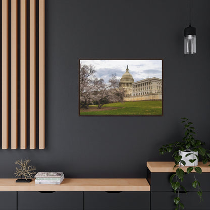 Arts by Dylan: US Capitol Canvas