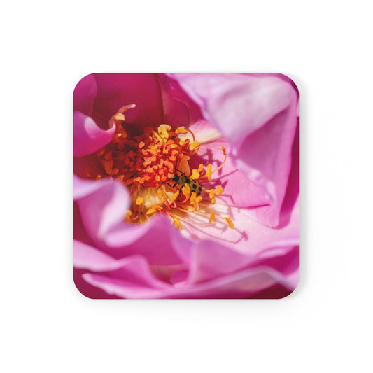 Rose II Corkwood Coaster Set