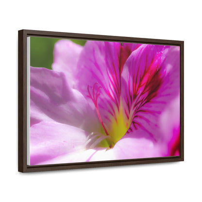 Arts by Dylan: Flower Macro Canvas