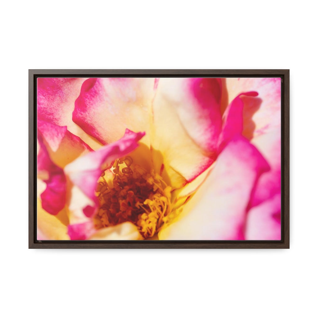 Arts by Dylan: Macro Rose Canvas